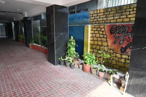 a building with plants in pots next to a wall with graffiti at Castle INN in Dehradun