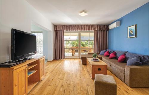 a living room with a couch and a flat screen tv at Holiday Home Stgolubovo V in Krnjaloža