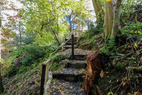 a set of stairs on a trail in the woods at Ty Nant Gwenyn in Llanymawddwy