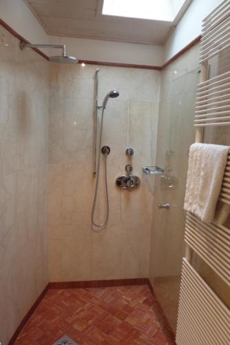 a bathroom with a shower with a shower head at Apartment Leonardo in Bolzano