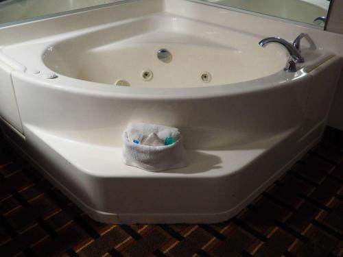 a bath tub with a faucet and a sink at Econo Lodge Augusta West near Fort Eisenhower in Augusta