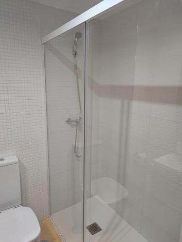 a bathroom with a glass shower with a toilet at El Refugio de Insuela in San Pedro
