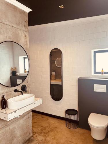 a bathroom with a sink and a toilet and a mirror at Cellar Pods Red in Robertson