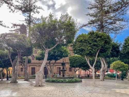 a group of trees in front of a building at Casa Libelvik en pleno centro Galdar con Terraza in Gáldar