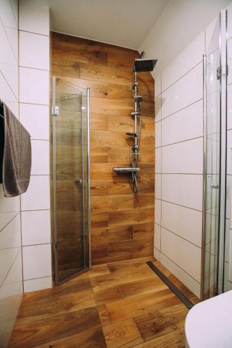 Koupelna v ubytování Apartamenty Aleksandra