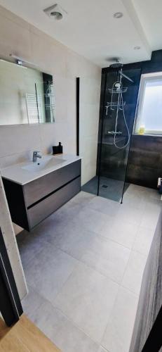 une salle de bain avec un lavabo et une douche dans l'établissement Gite Alsacien, à Roggenhouse
