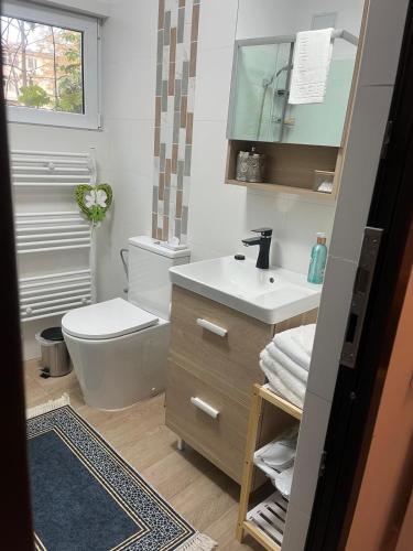 a bathroom with a toilet and a sink and a mirror at Aris Ultracentral&Cozy Studios PIATA UNIRII in Iaşi