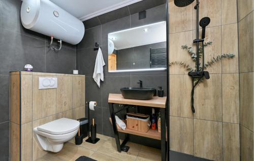 a bathroom with a toilet and a sink and a mirror at Lovely Home In Kunovec Breg With Sauna in Močilski Breg