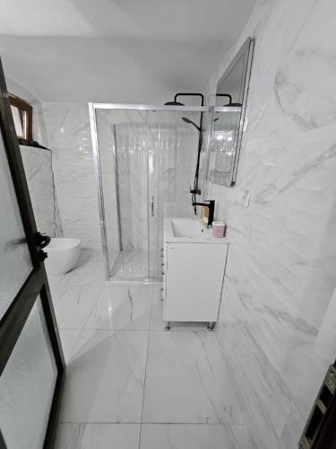 a white bathroom with a sink and a shower at Casa Raduly - Apartament Demisol in Sibiu