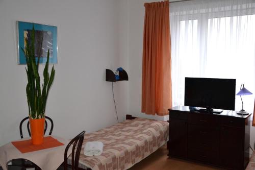 Μια τηλεόραση ή/και κέντρο ψυχαγωγίας στο Hotel Monttis