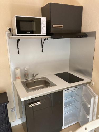 une petite cuisine avec un évier et un micro-ondes dans l'établissement petit studio vue montagne, à Chambéry
