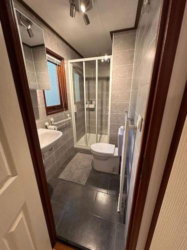 a bathroom with a shower and a toilet and a sink at Het Vijverhuisje - Holiday only in Doornspijk