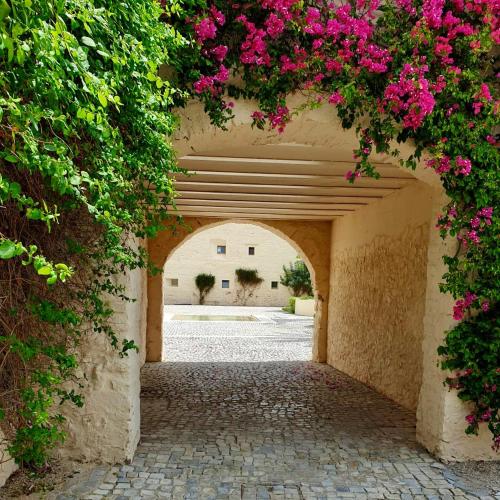 an archway with pink flowers on a building at Apartamento Convento das Bernadas Tavira in Tavira