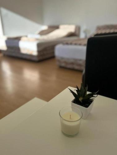 a candle and a potted plant sitting on a table at Rooms ALEA in Sanski most