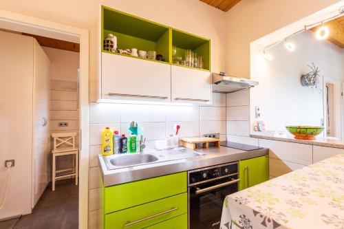 a kitchen with green cabinets and a sink at Teufelsmauer-Blick in Thale