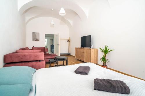 TV a/nebo společenská místnost v ubytování Luxapart BIG 12people apartment with Breakfast
