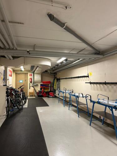 Fitness centrum a/nebo fitness zařízení v ubytování Raitismaja