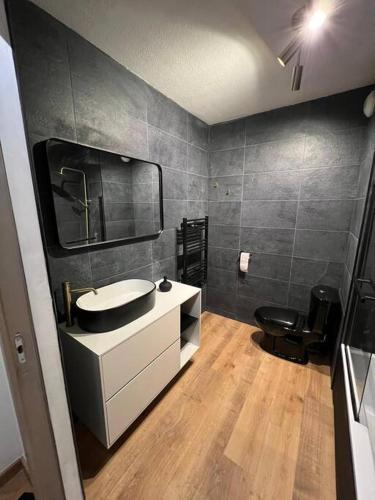 une salle de bain avec un lavabo et un miroir et des toilettes dans l'établissement Sharm El-Sheikh, Studio de vacances, à La Londe-les-Maures