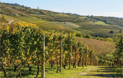 a row of trees in a vineyard on a hill at Nice Apartment In Santo Stefano Belbo in Santo Stefano Belbo
