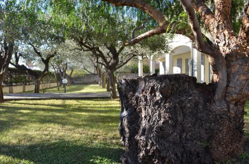 a tree stump in the grass in front of a house at Residence Villa Carmen fronte mare a 50 mt in Pietra Ligure