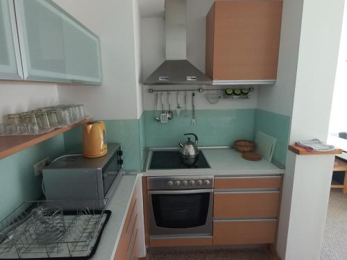 Una pequeña cocina con estufa y fregadero. en APARTMAN "CHARDAK", en Bjelašnica