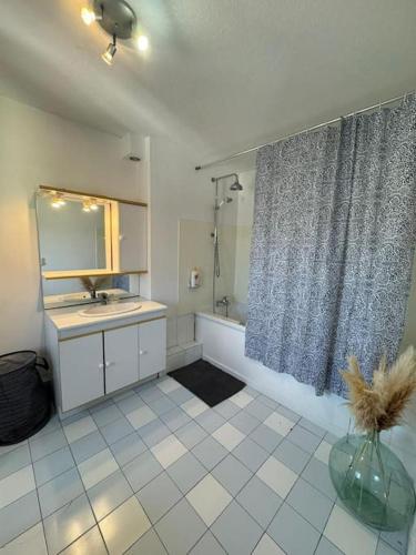 une salle de bain avec un lavabo et un miroir dans l'établissement Appartement de charme hyper centre, à Dijon