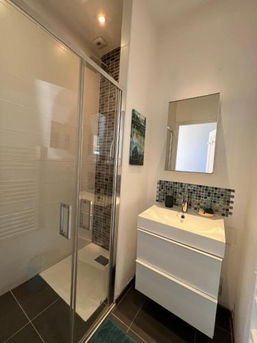 une salle de bain avec un lavabo et une douche dans l'établissement LOFT des 7 chemins - 4 Voyageurs, à Décines-Charpieu