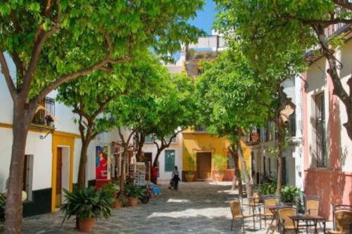 Beautiful ap 3 BR 6px center Sevilla Refurbished19