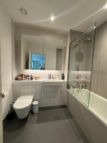 Gorgeous 1 Bedroom Apartment in Tottenham Hale photo 8