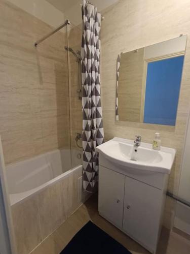 une salle de bain avec un lavabo, une baignoire et un miroir dans l'établissement Hermione, à Besançon