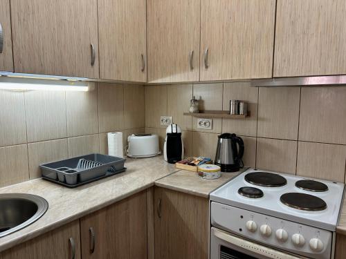 a kitchen counter with a stove and a sink at Apartman NANA in Ćuprija