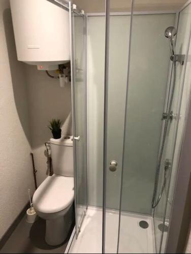 une salle de bain avec toilettes et douche en verre dans l'établissement Studio design proche Colmar, à Sainte-Croix-en-Plaine