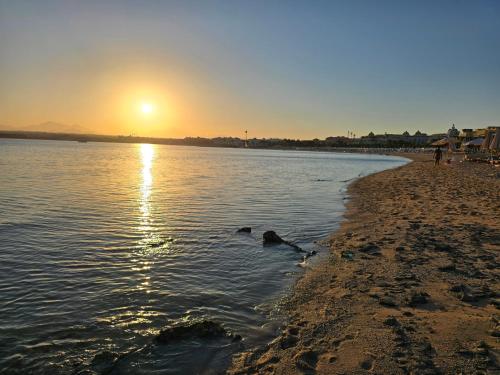 two ducks swimming in the water on a beach at sunset at Sahl Hasheesh, El Andalous by All View apartements in Hurghada