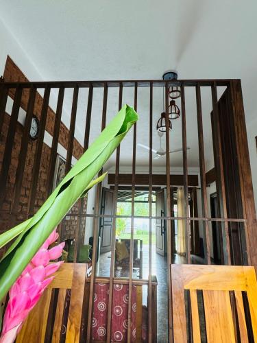 a staircase with two green umbrellas on a bench at Nivartana Villa and Purana Ayurveda Center in Bentota