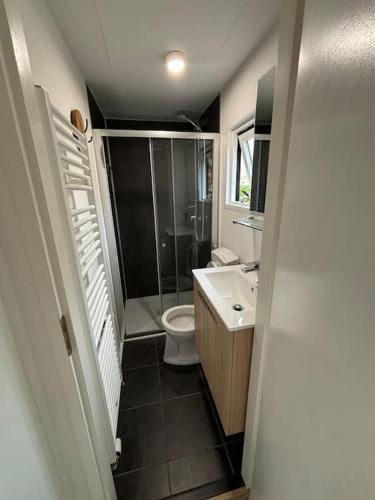 a small bathroom with a toilet and a sink at Chalet Woef op de Veluwe in Doornspijk