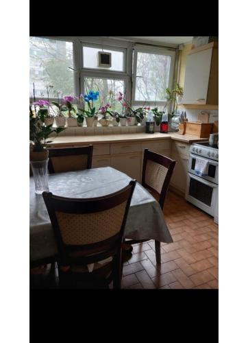 Η κουζίνα ή μικρή κουζίνα στο Room in central London
