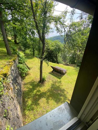 a view of a park with a bench in the grass at Wanderer Paradies in Pirna