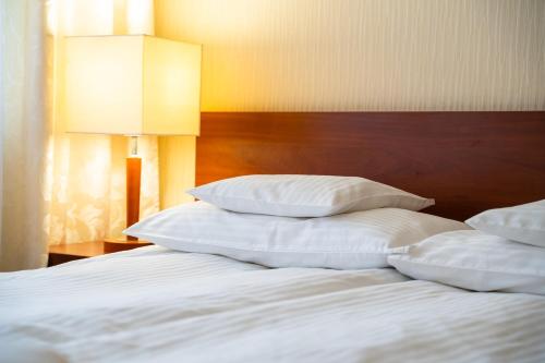 TęgoborzeにあるHotel Litwińskiのギャラリーの写真