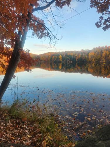 a view of a lake in the fall at Le cosy for familys, home work in Longueuil
