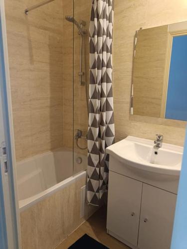 une salle de bain avec un lavabo, une baignoire et une douche dans l'établissement Ron, à Besançon