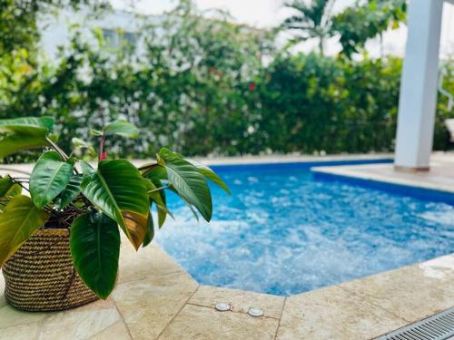 Villa Elisa 4BR with Pool Jacuzzi & BBQ