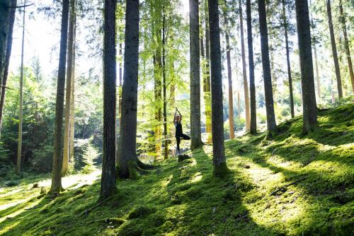 a woman walking through a forest with trees at COOEE alpin Hotel Bad Kleinkirchheim in Bad Kleinkirchheim