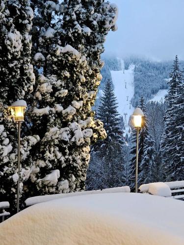 two lights in front of a snow covered tree at Hotel Piatra Mare in Poiana Brasov