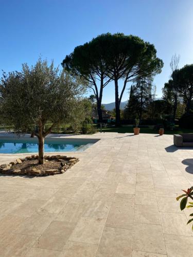 un arbre au milieu d'une cour dans l'établissement Chambre équipée, à Saint-Maximin-la-Sainte-Baume
