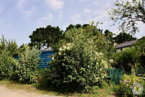a blue building behind some bushes and trees at Chambres d'Hôte Air Marin in Lannion