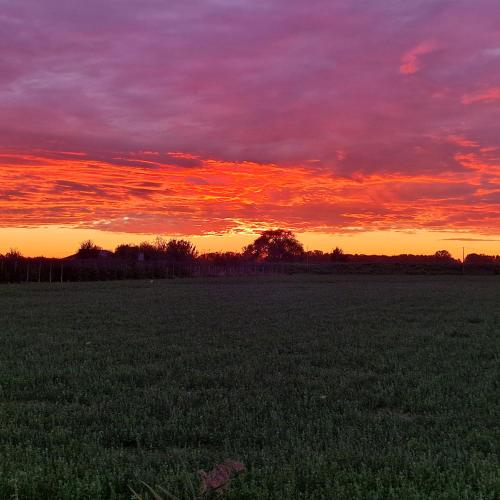 a sunset in a field with a green field at Appartamento Divino Tramonto in Altedo