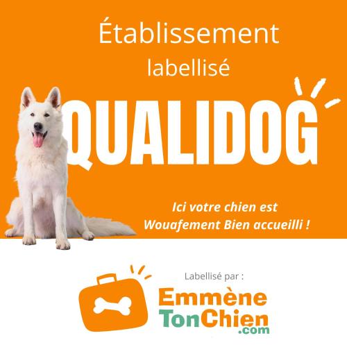 an image of a dog on an orange flyer at La Perle d'Alsace in Bernardswiller