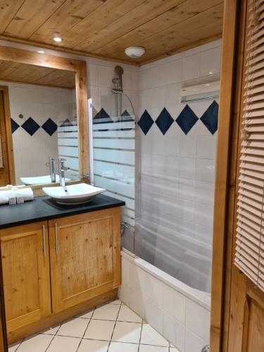 une salle de bain avec un lavabo et une douche dans l'établissement Appartement Le D12 Samoëns, à Samoëns