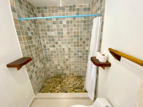 a bathroom with a shower with a toilet in it at Bird Island Bungalows in Bocas del Toro