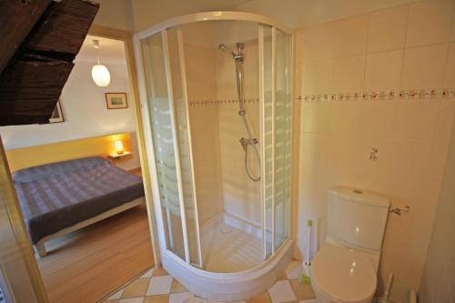 y baño con ducha, aseo y cama. en Saint roch 87, en Eyjeaux